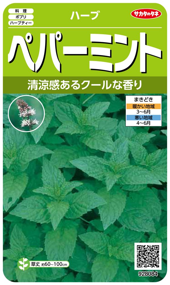 サカタのタネ 実咲ハーブ8084 ペパーミント ハーブ 00928084 の商品画像