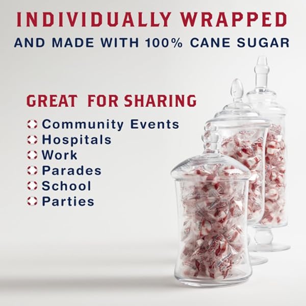 RED BIRD SOFT PEPPERMINT CANDY, INDIVIDUALLY WRAPPED, GLUTEN FREE BREATH MINTS, 46 OZ BAG