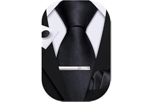 Barry.Wang Mens Silk Plain Ties Paisley Necktie Pocket Square Cufflinks Tie Clip Set for Wedding Prom Business