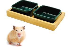 Acsist Hamster Food Bowl, Hamster Feeding & Water Bowls, Small Animals Ceramic Food Water Bowl Prevent Tipping for Dwarf Syrian Hamsters Bunny Gerbils Rats or Other Similar-Sized Small Pets (Green)