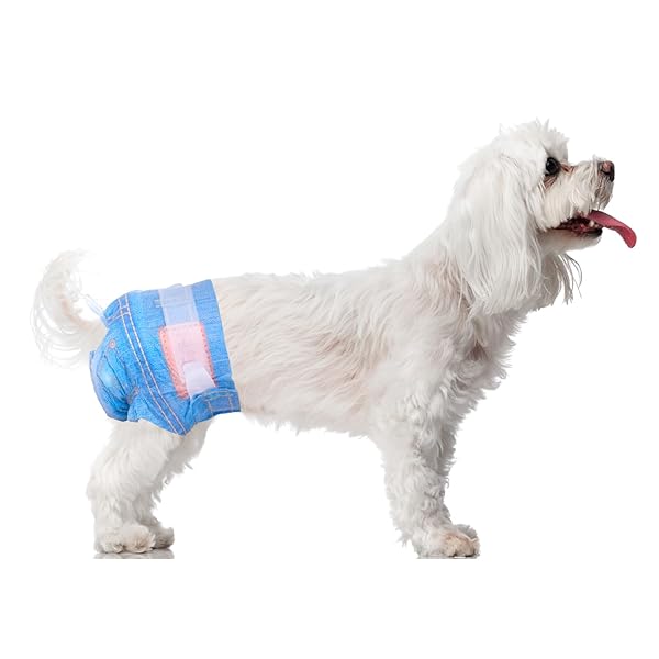 FLYING PAWS DOG DIAPERS FEMALE, DISPOSABLE DOG DIAPERS SMALL JEANS PATTERN DOGGIE PUPPY DIAPERS FEMALE CATS, X-SMALL, 32 COUNT