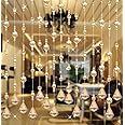 Hanbinsen Crystal Beaded Curtain, 20 Strings Door String Curtain, Hanging Door Beads Curtains Room Divider for Home, Wedding Background, Restaurant, Coffee House, Bedroom. (Chamgagne)