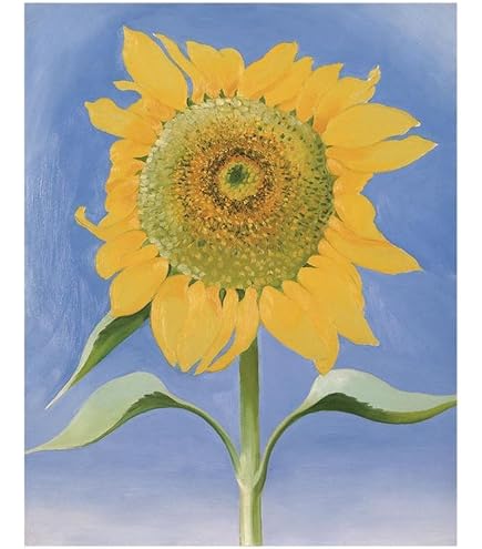 Amazon.com: Sunflower, New Mexico, c.1935 Art Print Art Poster