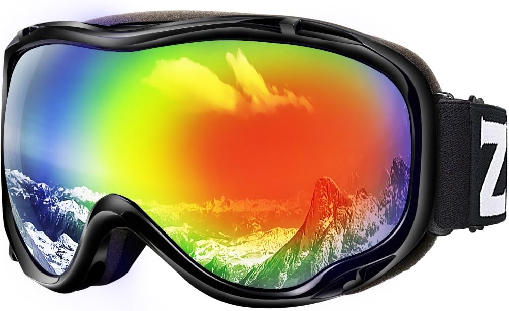 Best ski goggle case smith