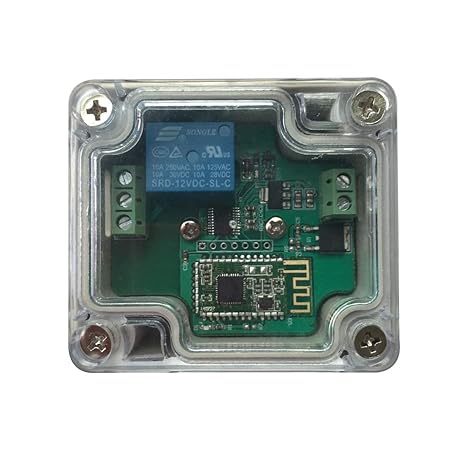 DSD TECH Bluetooth 4.0-Relaismodul zur Fernbedienung mit Schutzgehäuse (12V)