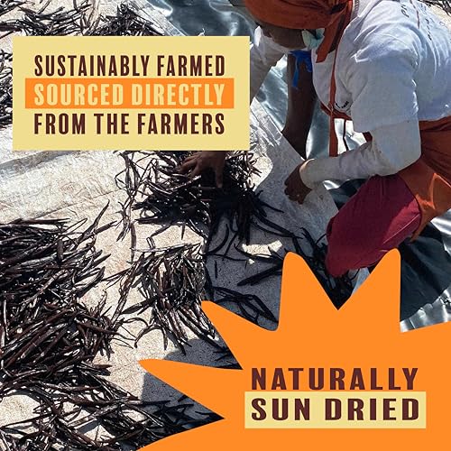 Organic Pure Ground Vanilla Powder | Pure Madagascar Grade A for Bakers, Chefs, Ice Cream Makers, and Home Cooks | Beyond Good Vanilla