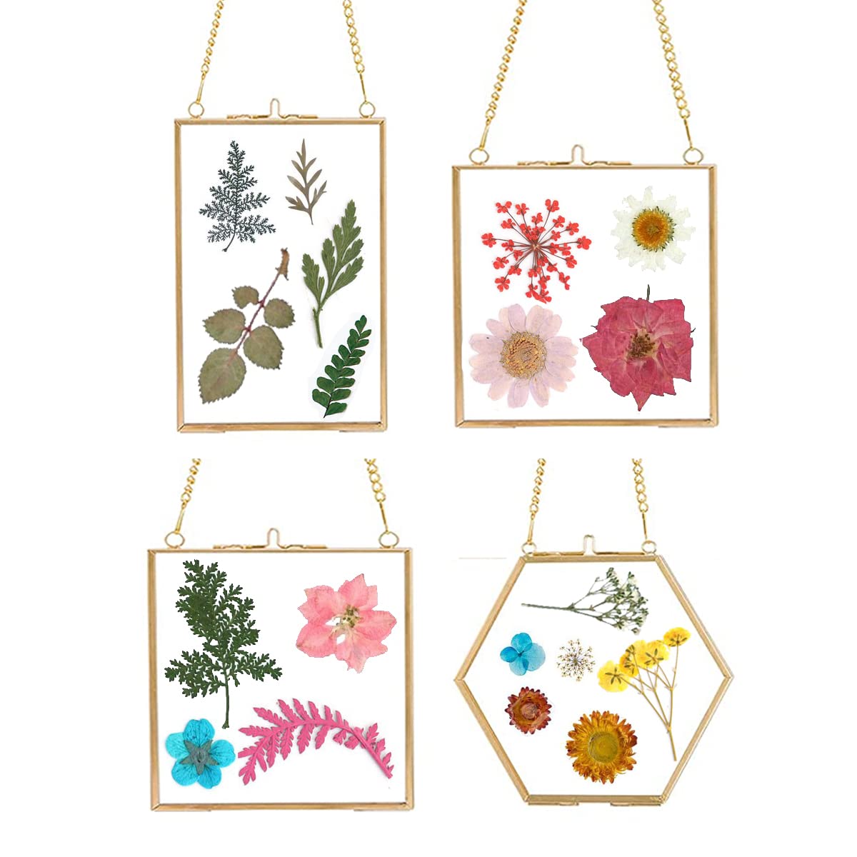 Photo 1 of 4 PCS Glass Frame for DIY Pressed Flowers Art - Brass Hanging Photo Picture Frame - Golden Floating Glass Frame with Chain - Pressed Flower Collage Glass Craft Frames for Wall Decor Display Gallery