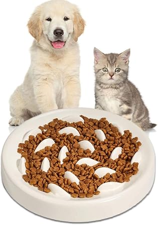 small slow feeder cat bowl