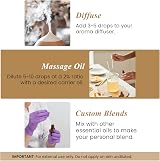 Handcraft Blends Frankincense Essential Oil 118 ml Pure & Natural with Glass view 3