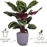 elho Jazz Round 14 cm Flower Pot Red Tuscan Red 100% Recycled Plastic view 2