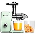 IWODTECH Juicer Machine, Cold Press Juicer with 2 Speed Modes, Slow Masticating Juicer Vegetable and Fruit, Celery Juicer, BPA-Free, Easy to Clean, Matcha Green