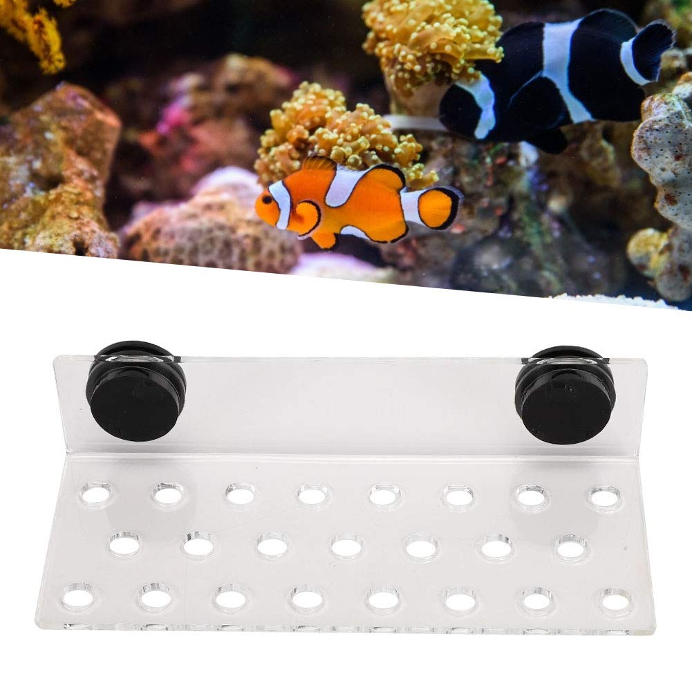 Fdit Coral Frag Rack Acrylic Magnetic Coral Frag Holder Support Coral SPS Button Bracket Base for Fish Tank Aquarium(23 Hole)