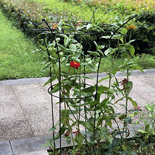 CJSWT Rankgerüst Kletterpflanzen, Rankhilfe, für Kletterrebe-Blumen,Obelisken Garten, für Jede Terrasse, Rasen, Garten… – Bild 6