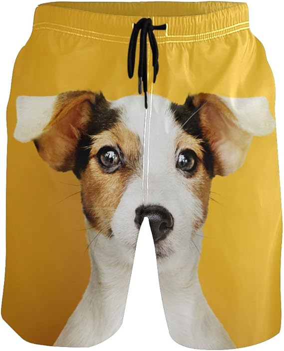 SENNSEE Adorable Puppy Dog Yellow Swimming Trunks for Men Boy Quick Dry