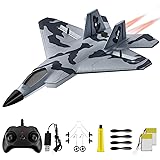 AIGIMU F-22 RC Plane 2 Channel Remote Control