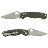Ganzo G729-GR Folding Pocket Knife, 440C Stainless Steel Blade, Ergonomic G10 Non-Slip Handle with Clip, Hunting, Fishing, Camping, Folder, Axis Lock, Outdoor EDC Knife (Green)