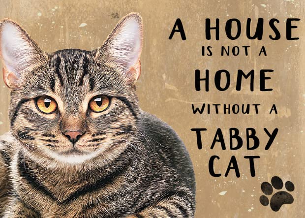 Small (150 x 200mm) Metal Sign - A House is Not a Home - Tabby Cat