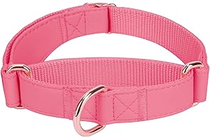 AAUFILUX Soft Leather Martingale Dog Collar - Adjustable Rose Gold Limited Slip Collars [Easy to Clean], Stylish Durable Heavy Duty Nylon No Pull Training Collar for Small Medium Large Dogs L Hot Pink