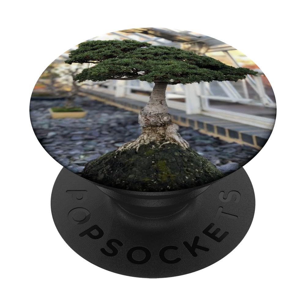 Bonsai Tree Nature PopSockets Swappable PopGrip
