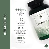 G&G Vitamins Betaine HCl with Pepsin 440mg Capsule 120 Vegan UK view 2