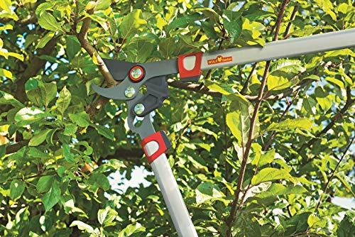 WOLF Garten WOLF-Garten - 2-schneidige Astschere »Comfort Plus« POWER CUT** RR 750; 73BGA006650 – Bild 4