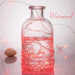 Ariceleo Led Fairy Lights Battery Operated, 2 Packs