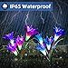 Digiroot Waterproof Outdoor Solar Garden Stake lights,2 Packs Solar Powered Garden Lights with 8 Lily Flower ,Multi-Color Changing LED Solar Stake Lights for Garden,Patio,Backyard Decor