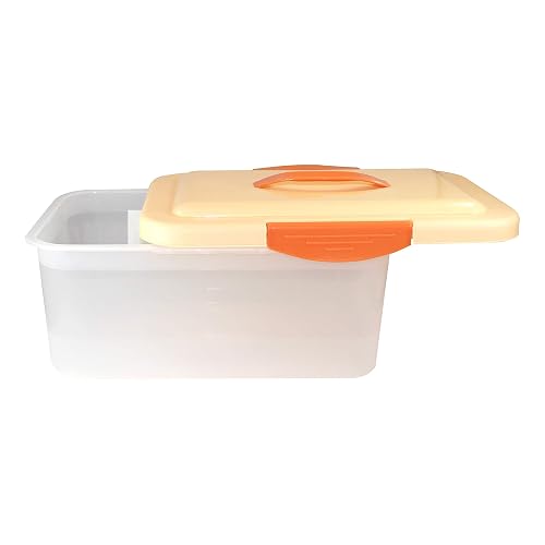 Asian Mega Carry Plastic Container, 5.5 litres