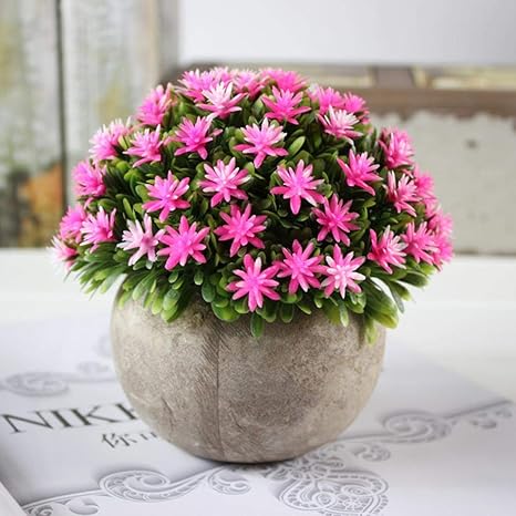 Amazon Co Jp 鉢植え人工植物 フェイクプラント 小型 プラスチックグリーン カラフル 花 植木鉢 灰鉢 家庭 バスルーム 装飾 室内 12 X 12cm 4 8 X 4 8inch ピンク Syab 6 ホーム キッチン