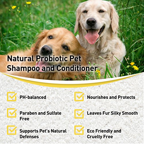 SKOUT'S HONOR Pet Shampoo and Conditioner Probiotic Shampoo Plus Conditioner 2-in-1 Honeysuckle - 16 fl. oz. - Cleans and Conditions Fur, Supports Pet’s Natural Defenses, PH-Balanced, Sulfate Free - Thumbnail 2