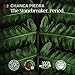 Complete Natural Products Organic Chanca Piedra Tea - 8oz (227g) Bulk Pure Organic Chanca Piedra Extract & Phyllanthus Niruri Stonebreaker Powder