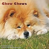 Chow Chows Calendar - 2017 Wall Calendars - Calendar 2016 - Dog Breed Calendars - Monthly Wall Calendar by Magnum