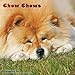Chow Chows Calendar - 2017 Wall Calendars - Calendar 2016 - Dog Breed Calendars - Monthly Wall Calendar by Magnum