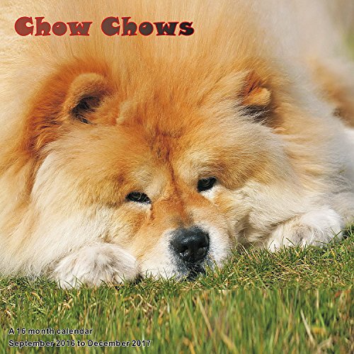 Chow Chows Calendar - 2017 Wall Calendars - Calendar 2016 - Dog Breed Calendars - Monthly Wall Calendar by Magnum