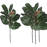 COTSEN 4 Pcs Artificial Magnolia Leaves Branches 22inch 3D Fake Magnolia Leaves Plant for Office Family Indoor Outdoor Decor
