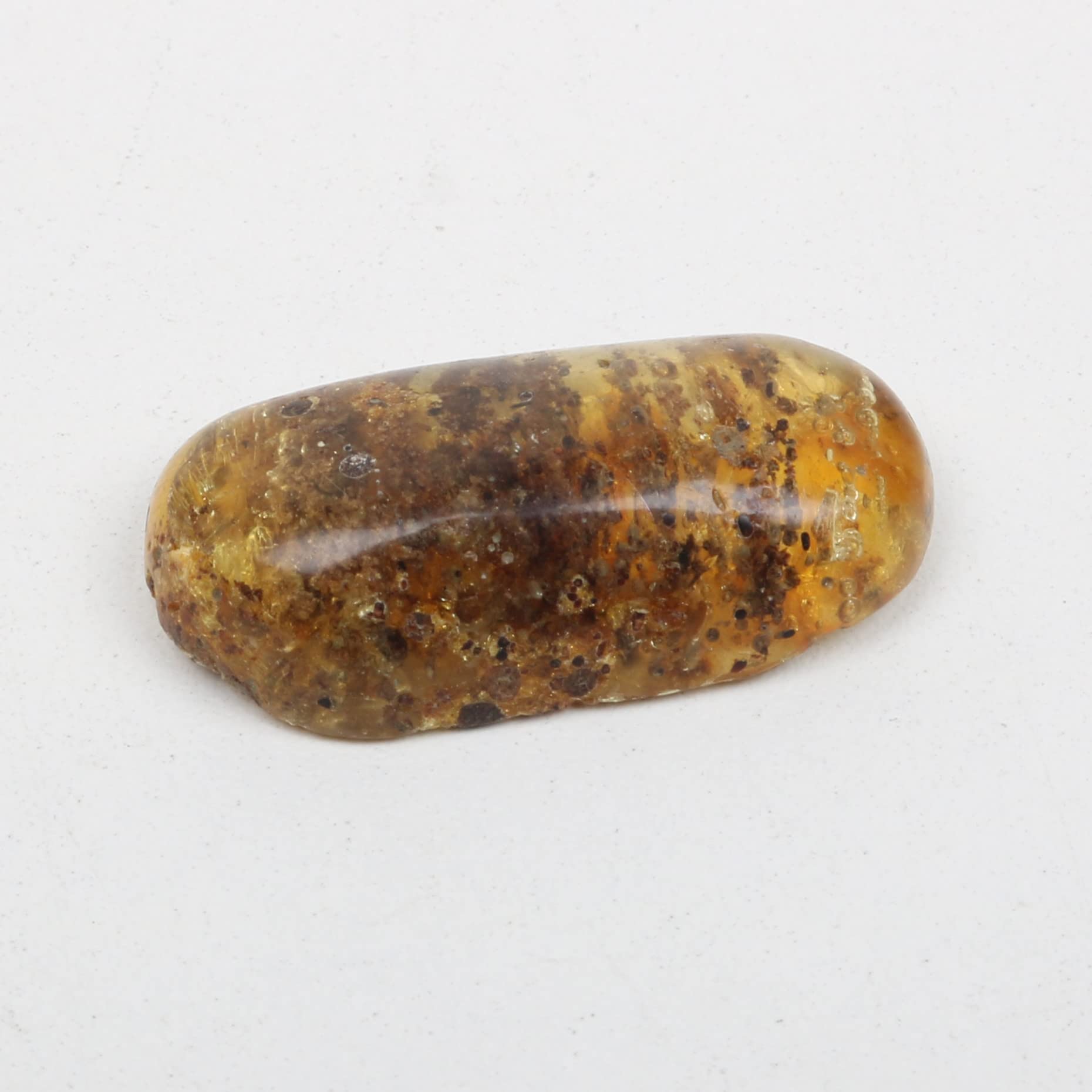 REAL-GEMS Genuine Myanmar Amber Stone Oval Shape with Fossils Insects Inclusions