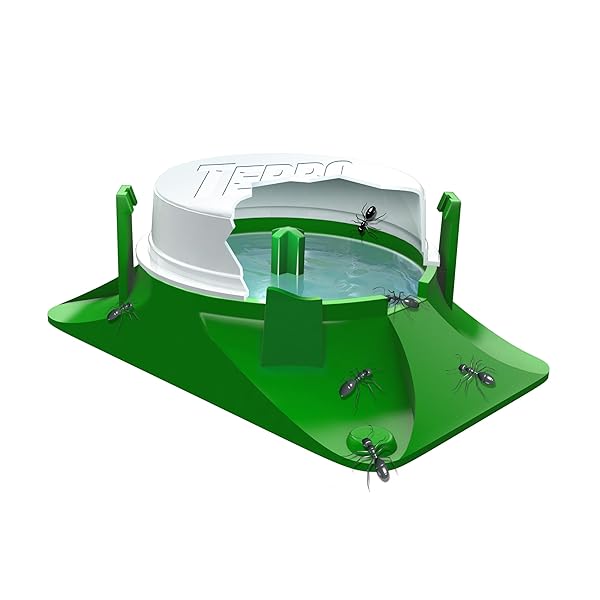 TERRO T1804SR OUTDOOR READY-TO-USE LIQUID ANT BAIT KILLER AND TRAP – KILLS COMMON HOUSEHOLD ANTS – 8 BAIT STATIONS