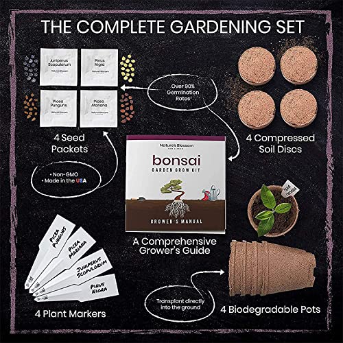 Nature's Blossom Bonsai Tree Kit 4 Types of Bonsai Seeds for Outdoor