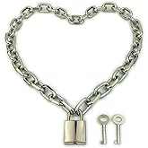 Succuba Padlock Chain Necklace Collar Choker with Two Keys and Box for Women, Men and Pet