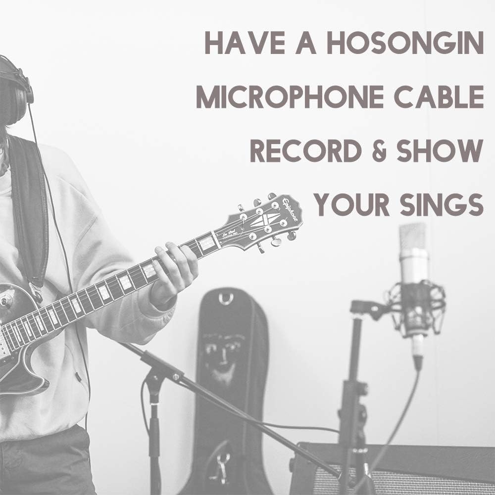 USB Microphone Cable 10Ft, HOSONGIN USB Male to XLR Female Mic Link Converter Cable Studio Audio Cable Connector Cords Adapter for Microphones or Recording: Musical Instruments