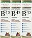 Nature's Bounty, Super Strength B-12, 5000mcg, 2-Ounce (Pack of 3)