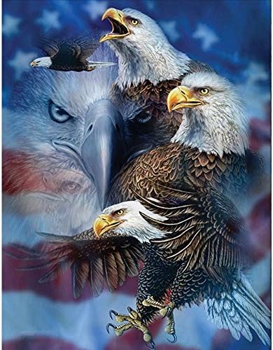 DIY 5D Diamond Painting Kits Full Drill, ACTIMEX Rhinestone Crystal Embroidery Pictures Cross Stitch for Home Wall Decoration Animal Eagle 3038 cm (11.814.9 inch)
