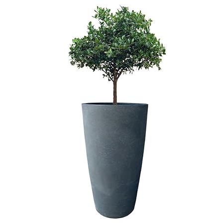 YUCCABE ITALIA German Polymers Planter, Grey, 18 inches.