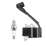 4180 400 1313 Ignition Coil with Spark Plug for