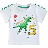 Toddler Kids Baby Boy Birthday T-Shirt Dinosaur Birthday Shirts for Boys Dino B-Day Party Tops Summer