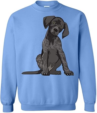 german shorthaired pointer store