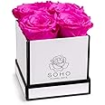 Soho Floral Arts | Roses in A Box | Genuine Roses that Last for Years (White Square 4ct, Radiant Pink) | Mothers Day Gifts