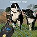 FOCUSPET Dog Training Shock Collar,Remote Electric Dog Training Collar Vibration, Beep, Electric Shock Rechargeable Waterproof Electronic Collar 2 Dogs
