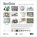 2017 Sea Glass Nature Calendar Great 12x12 Fine Art Wall or Desk Planner. Best Quality Christmas, Birthday & Valentine's Day Gifts for Men, Women and Kids. Unique New Year's Gift Idea.