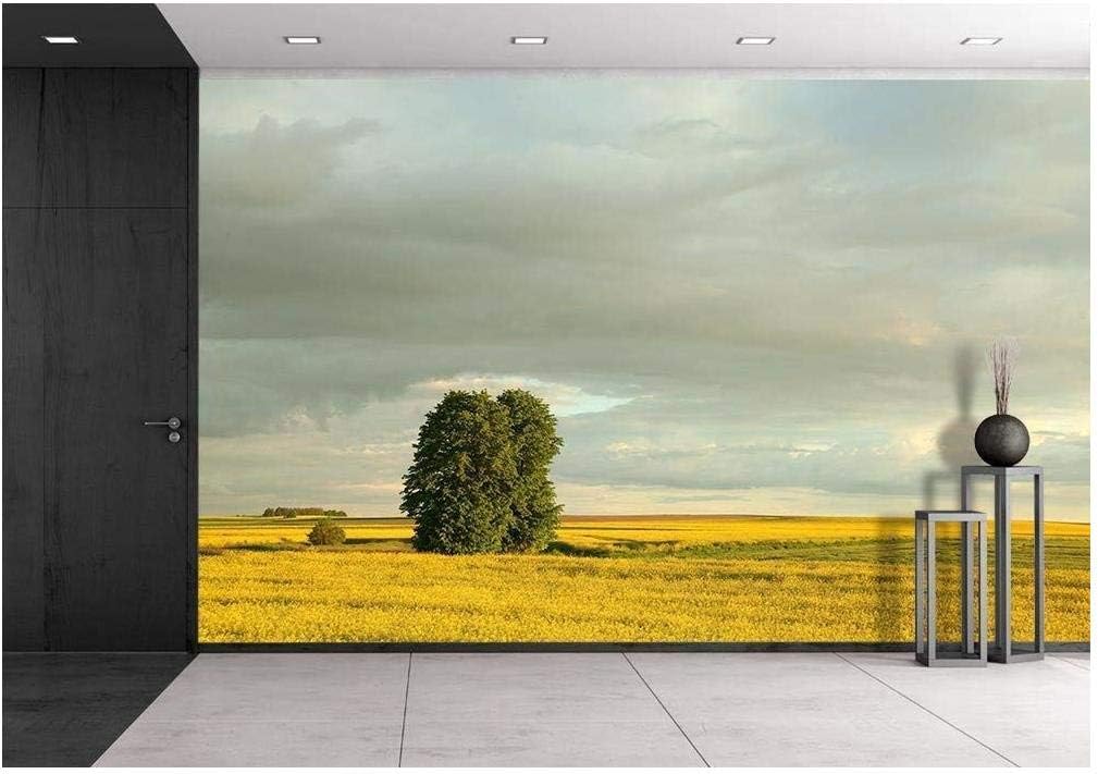 Idyllic Landscape on a Spring Morning in The Southern Polish - Removable Wall Mural | Self-Adhesive Large Wallpaper - 100x144 inches